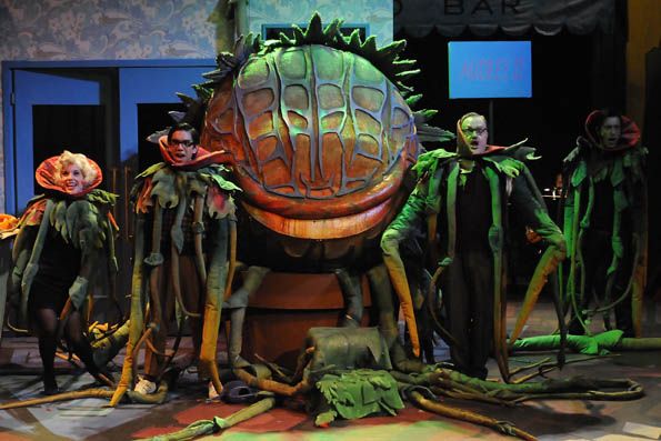 Der kleine Horrorladen, Musical – Benjamin Geipel als Audrey II Der kleine Horrorladen, Musical - Benjamin Geipel als Audrey II